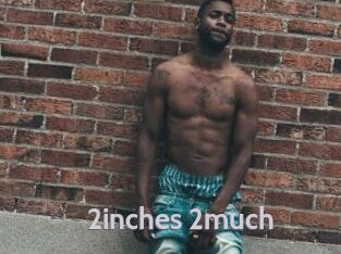 2inches_2much