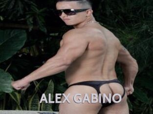 ALEX_GABINO Live Cam 66