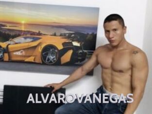 ALVAROVANEGAS