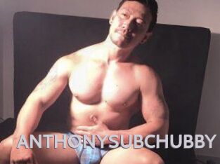 ANTHONYSUBCHUBBY