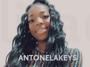 ANTONELAKEYS