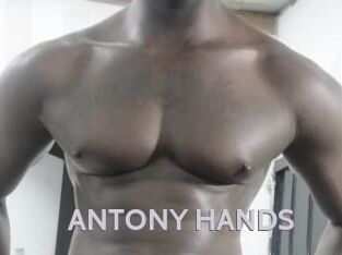 ANTONY_HANDS