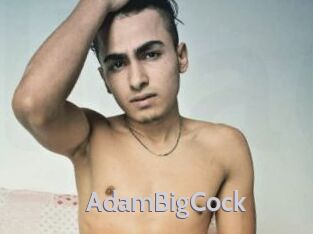 AdamBigCock Live Cam 66