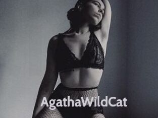 AgathaWildCat Live Cam 66
