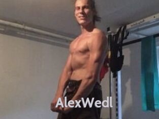 Alex_Wedl Live Cam 66