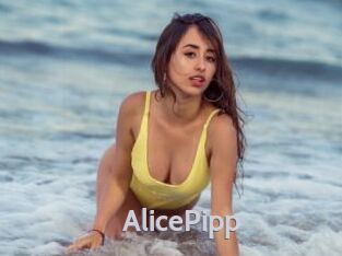 AlicePipp