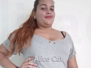 Alice_Cat