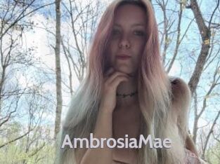 AmbrosiaMae