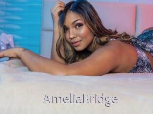 AmeliaBridge Live Cam 66