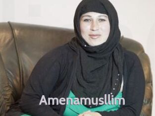 Amenamusllim