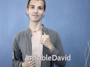 AmiableDavid