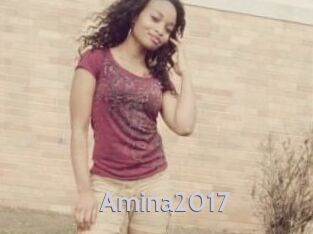 Amina2017
