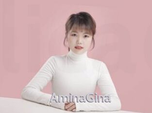 AminaGina