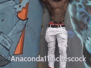 Anaconda11inchescock