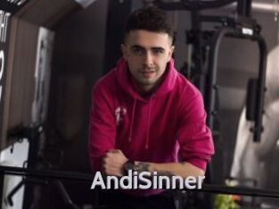 AndiSinner