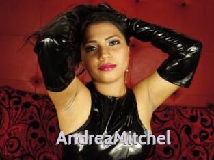 AndreaMitchel