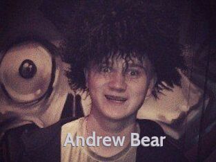 Andrew_Bear