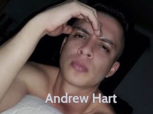 Andrew_Hart Live Cam 66