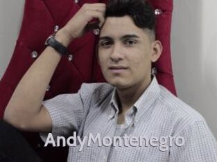 AndyMontenegro