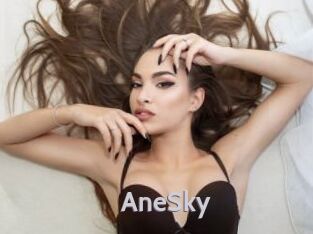 AneSky
