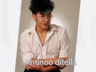Antinoo_ditella