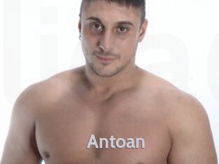 Antoan