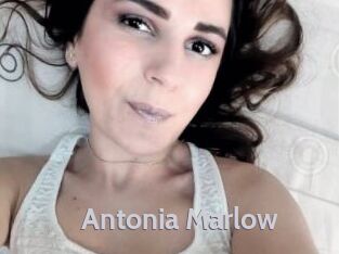Antonia_Marlow Live Cam 66