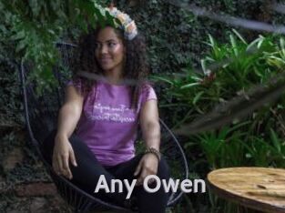 Any_Owen
