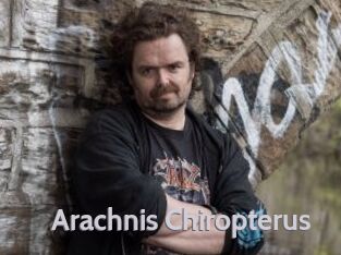 Arachnis_Chiropterus