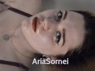 AriaSornei