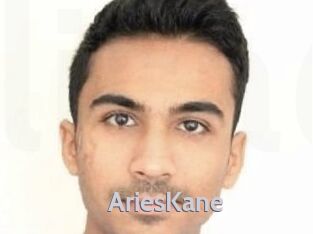 Aries_Kane Live Cam 66