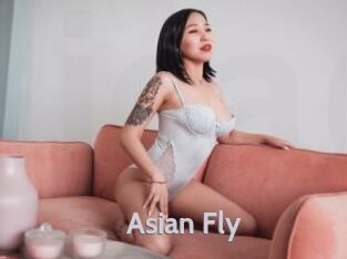 Asian_Fly