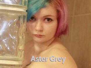 Aster_Grey