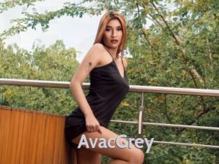 AvacGrey