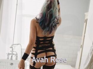 Avah_Rose