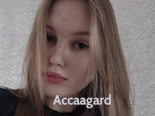 accaagard Live Cam 66