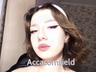 Accacornfield