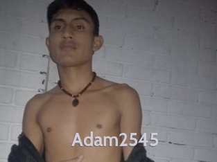 adam2545 Live Cam 66