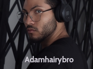 adamhairybro Live Cam 66