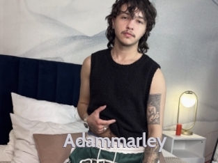 adammarley Live Cam 66