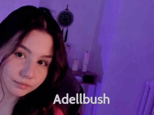 Adellbush