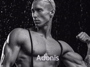 Adonis