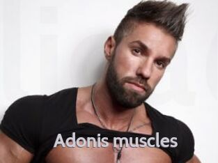Adonis_muscles