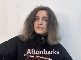 Aftonbarks