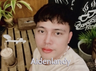 aidenlandy Live Cam 66