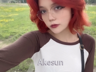 akesun Live Cam 66