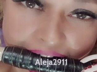 Aleja2911