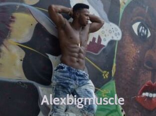 Alexbigmuscle