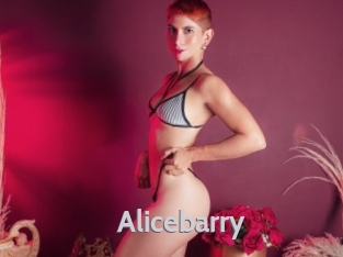 alicebarry Live Cam 66