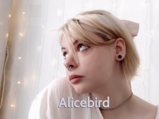 Alicebird